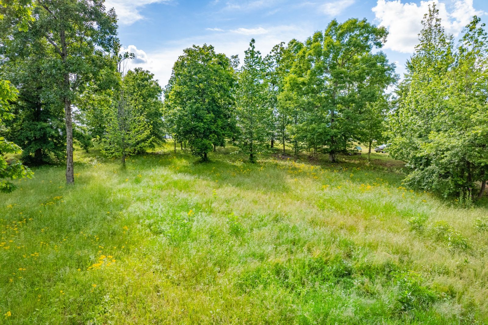 0 Wyshema Court inside, Lawrence County TN home for sale