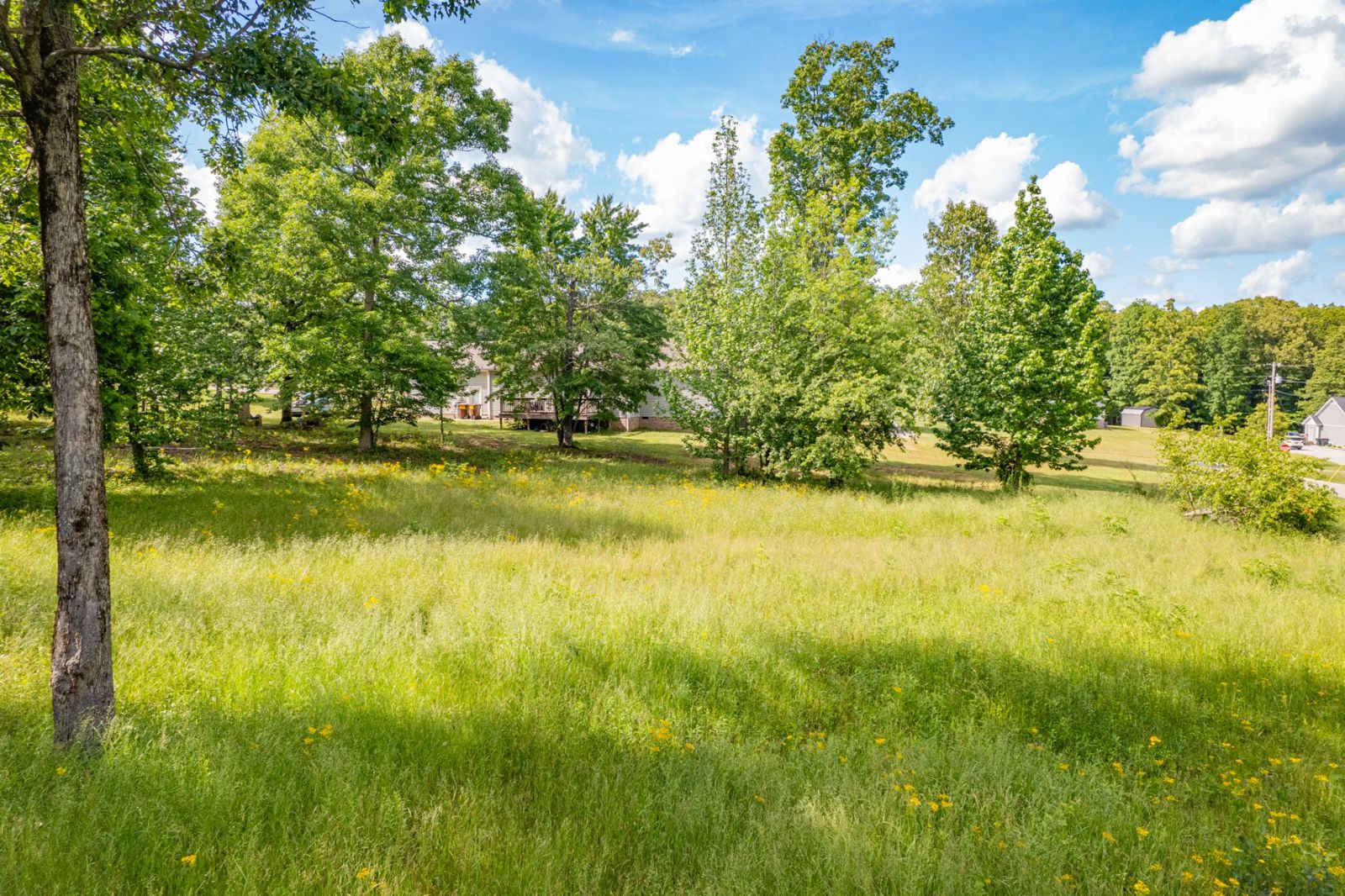 0 Wyshema Court outdoor space, Lawrence County TN home for sale