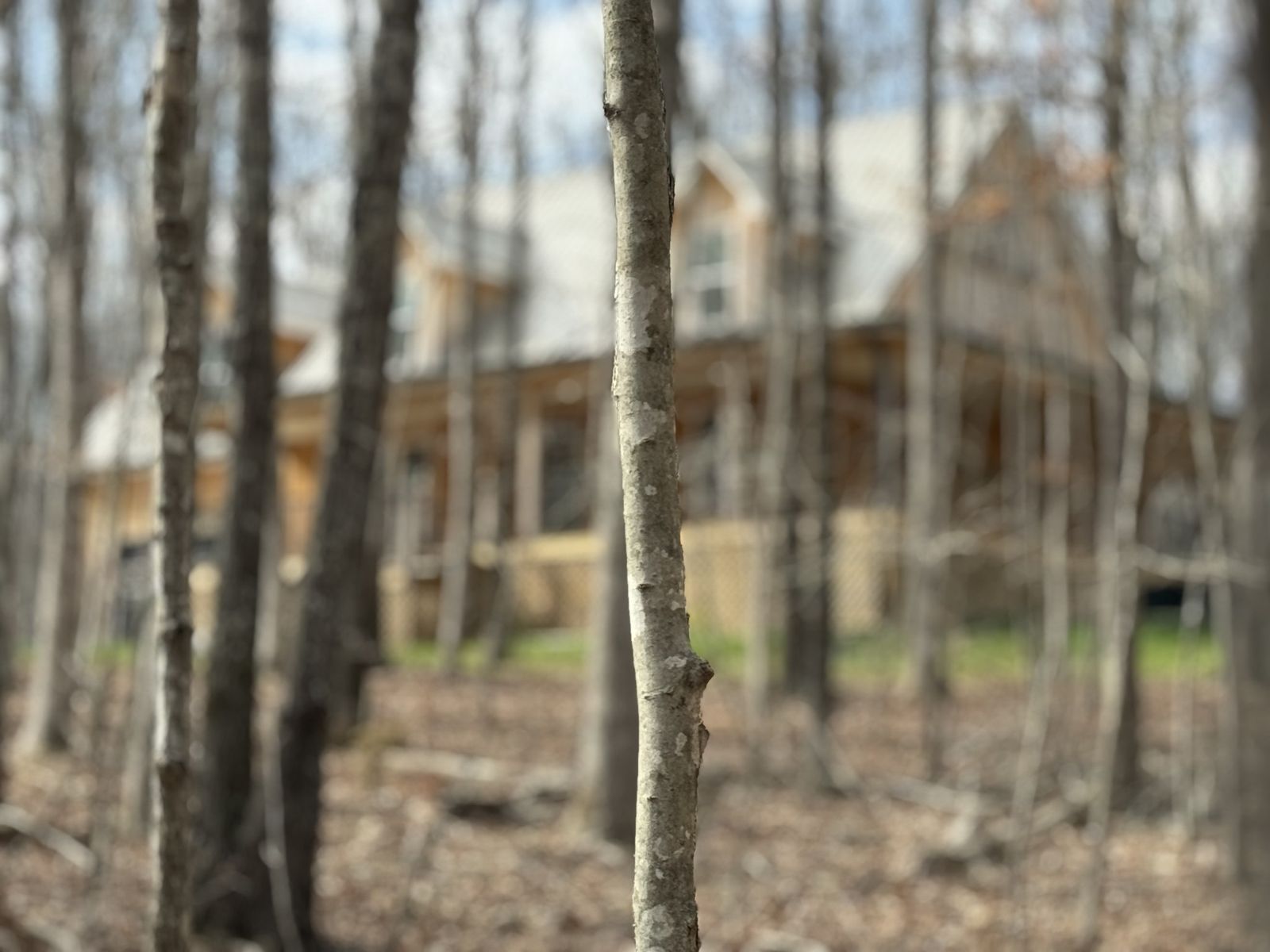 1220 Covered Bridge Ln outdoor space, Lawrence County TN home for sale