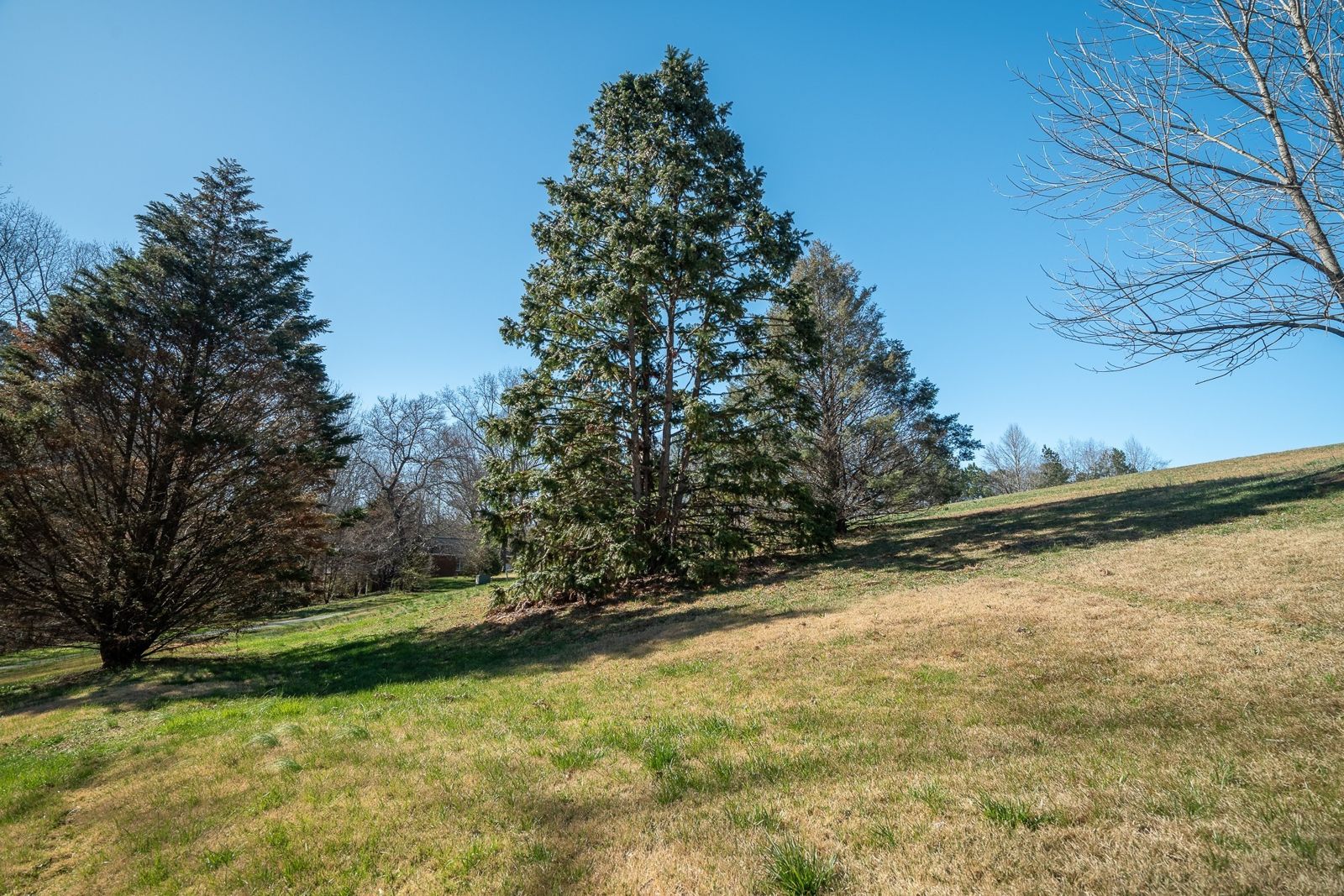 15 Clifton Rd additional view, Lawrence County TN home for sale