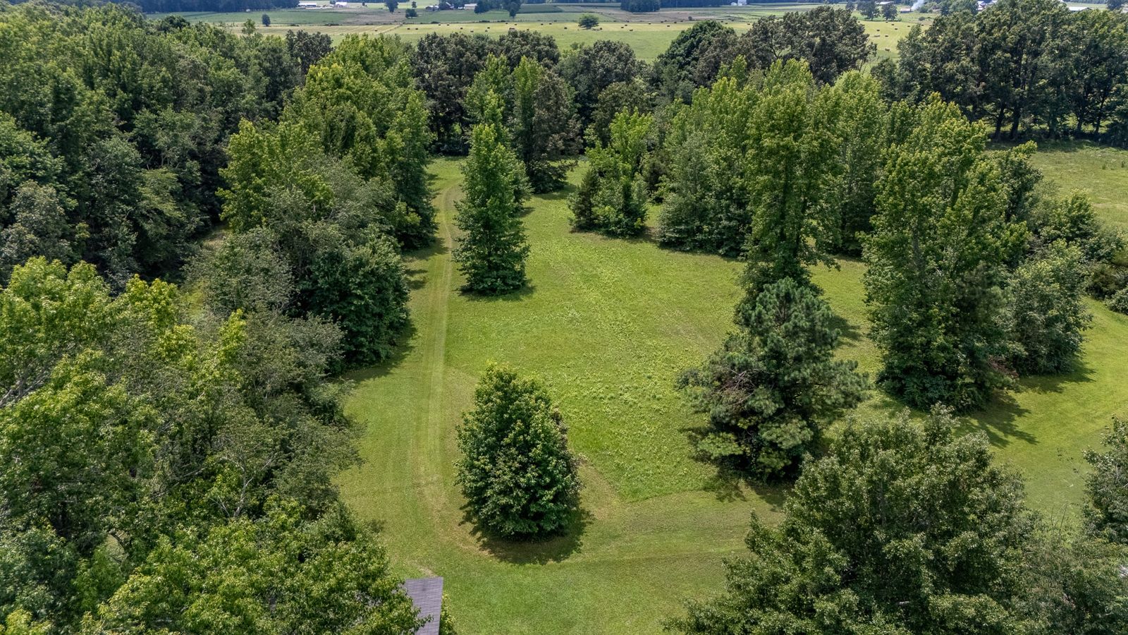 228 Campbellsville Pike inside, Lawrence County TN home for sale