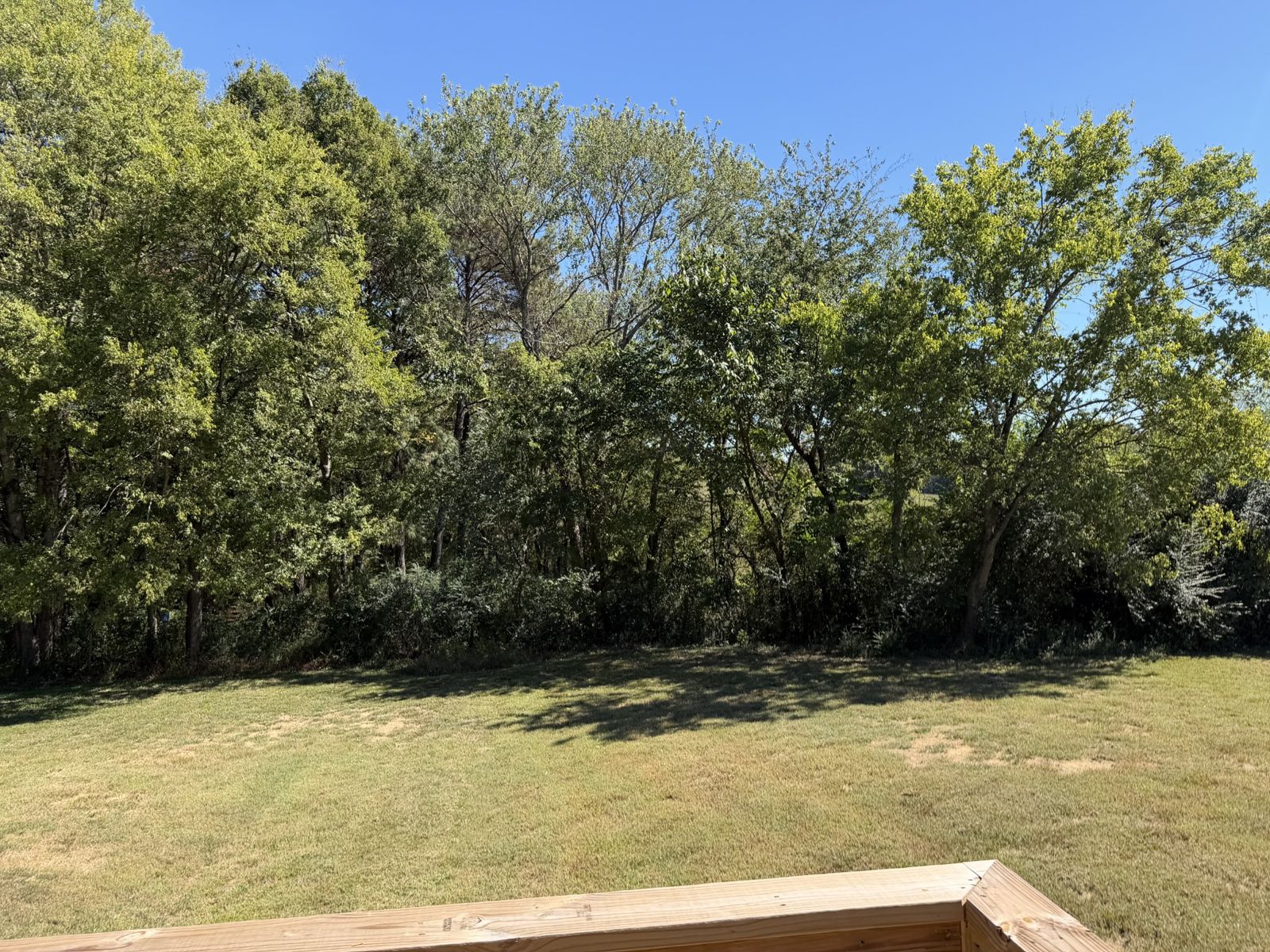 2464 Hwy 43 S outdoor space, Lawrence County TN home for sale