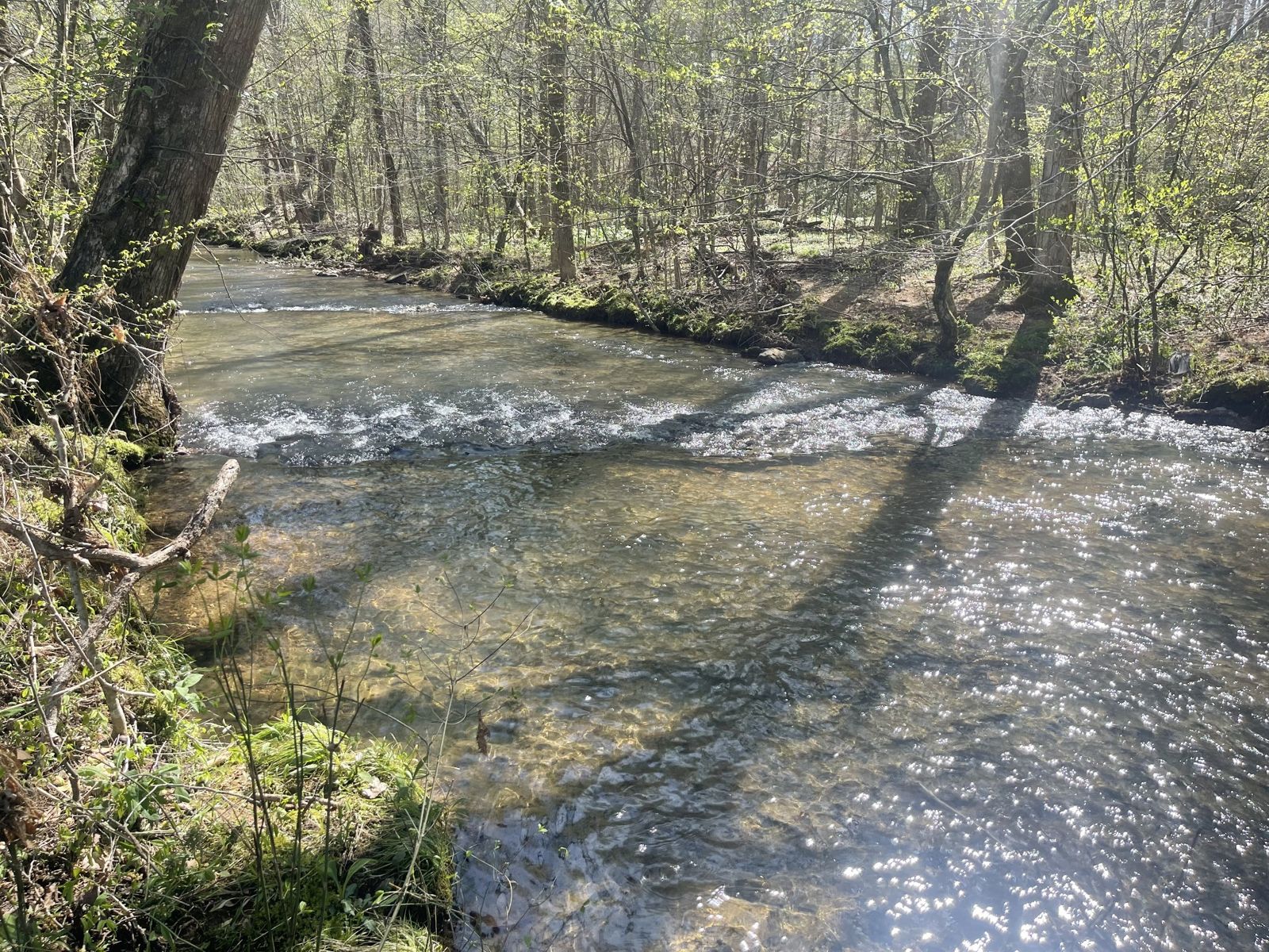 290 Prokesh Rd outdoor space, Lawrence County TN home for sale