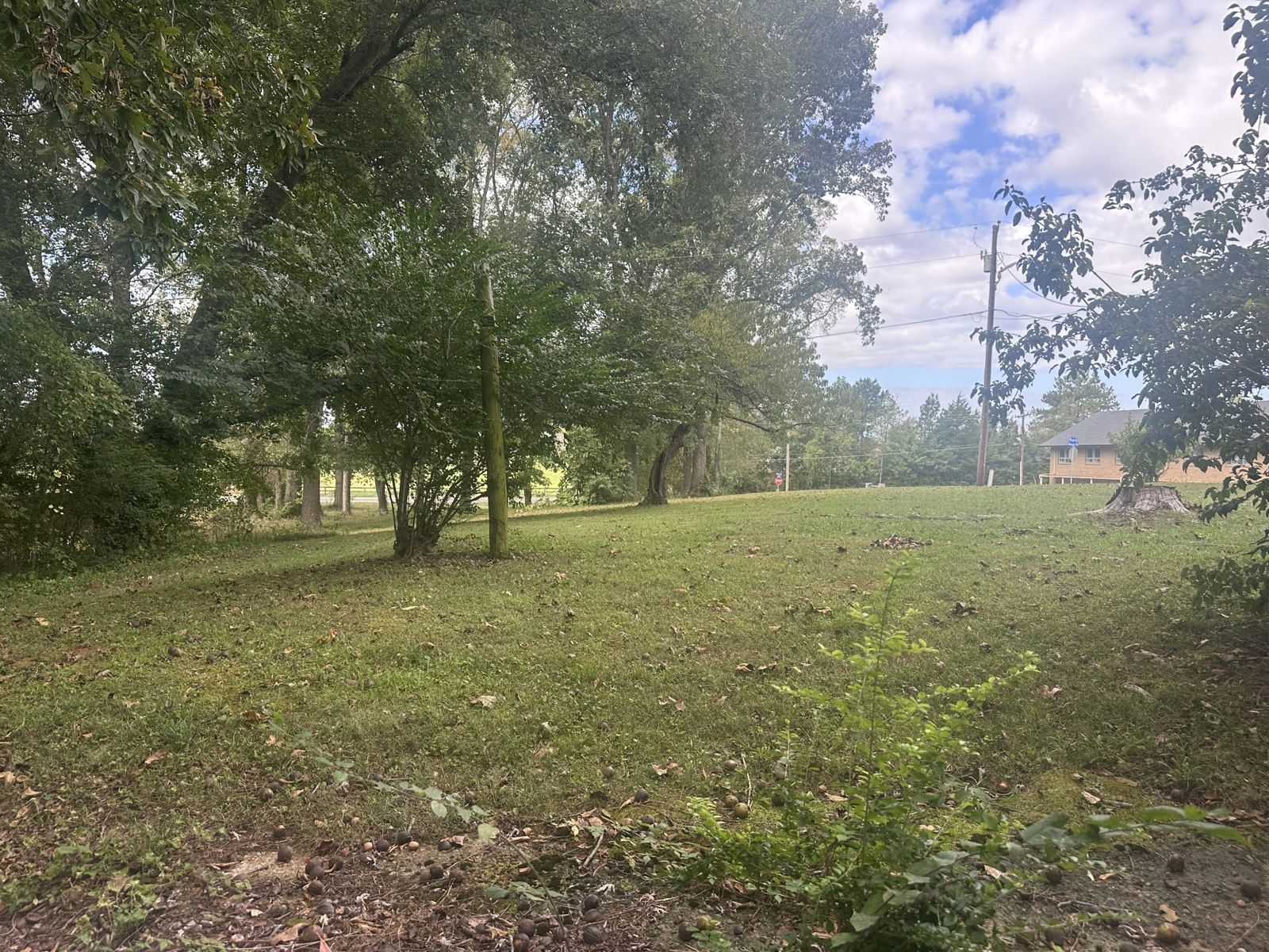323 Randall St additional view, Lawrence County TN home for sale