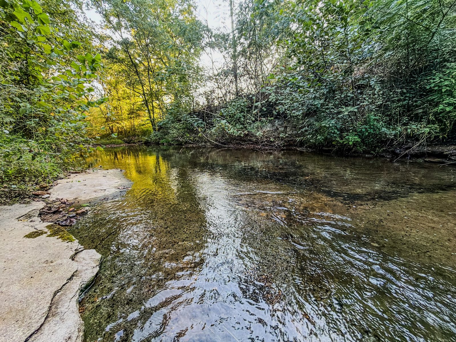 360 Long Branch Rd outdoor space, Lawrence County TN home for sale