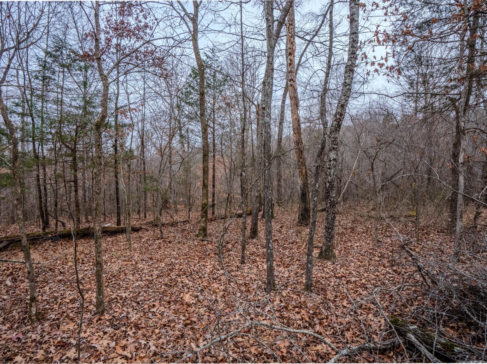 366 Ridge Rd inside, Lawrence County TN home for sale