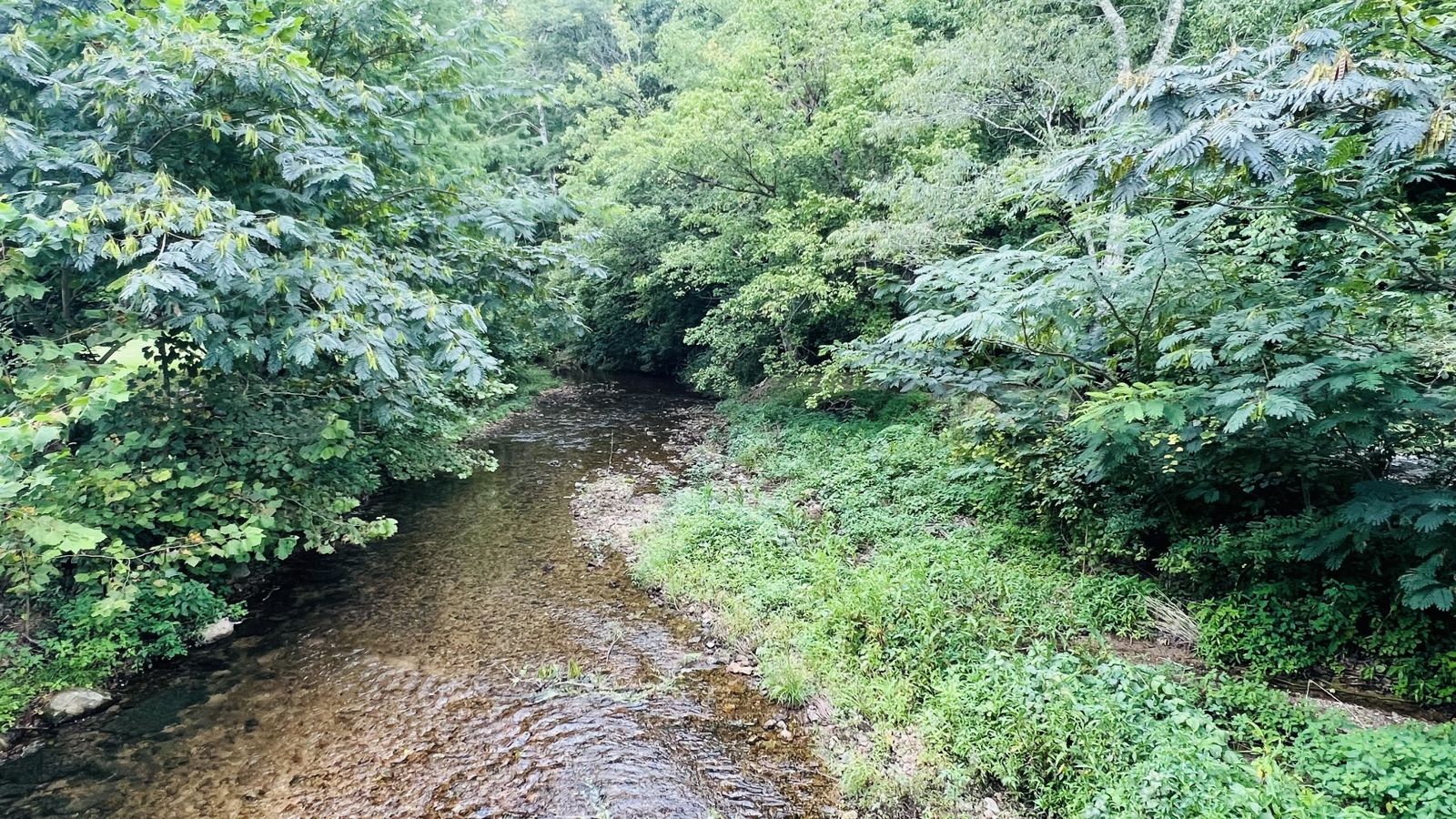380 Dry Weakley Rd inside, Lawrence County TN home for sale