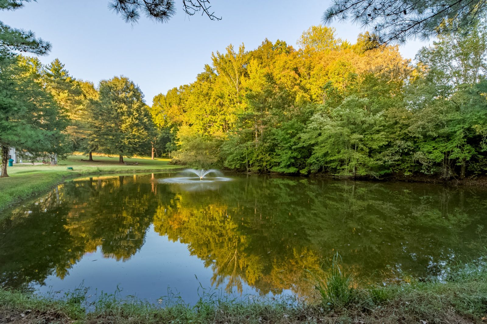 78 Shannon Rd outdoor space, Lawrence County TN home for sale