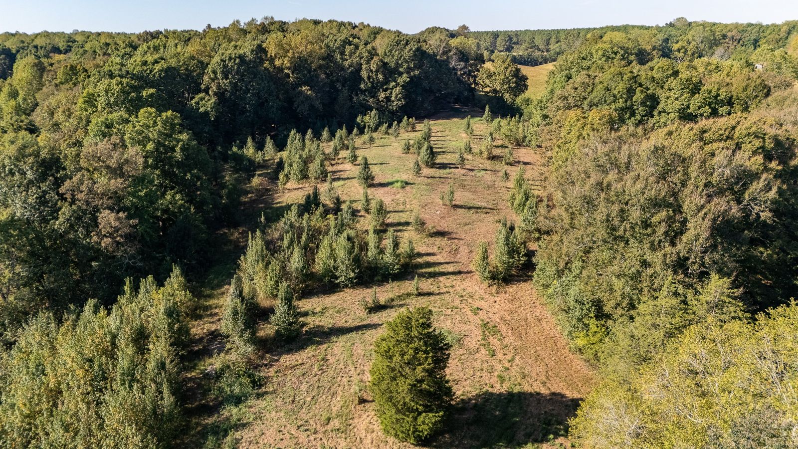 9 Gowen Rd inside, Lawrence County TN home for sale