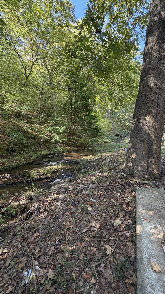 933 Weakley Creek Rd outdoor space, Lawrence County TN home for sale